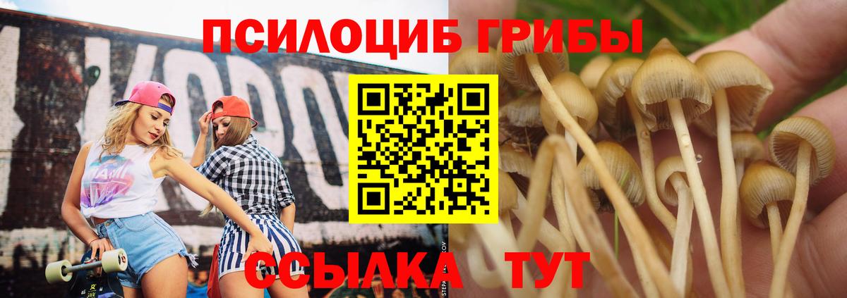 Алапаевск  Псилоцибиновые грибы Psilocybe  Галлюциногенные грибы GOLDEN TEACHER  Вход с VPN 